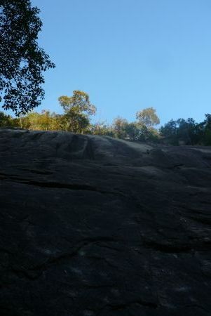 s_P1060465.jpg