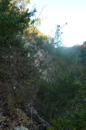 s_P1060468.jpg